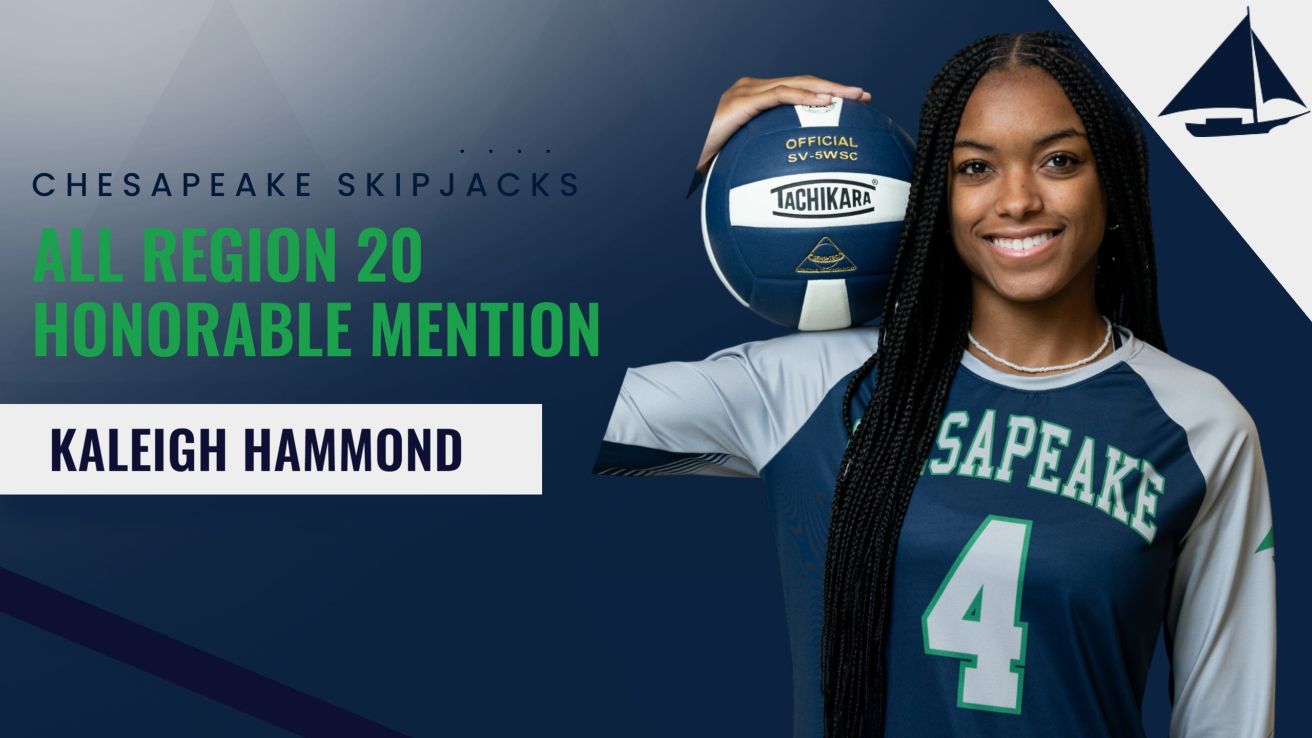 2024 Volleyball All-Region 20 Honors